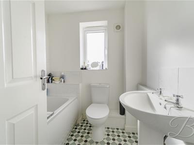Picture 20
